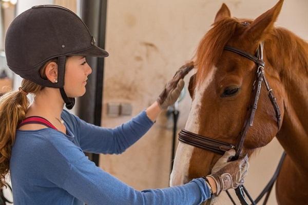 آلرژی به اسب چیست؟ تشخیص و درمان آن
