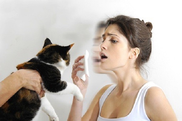 آلرژی به گربه چیست ؟ تشخیص و درمان آن